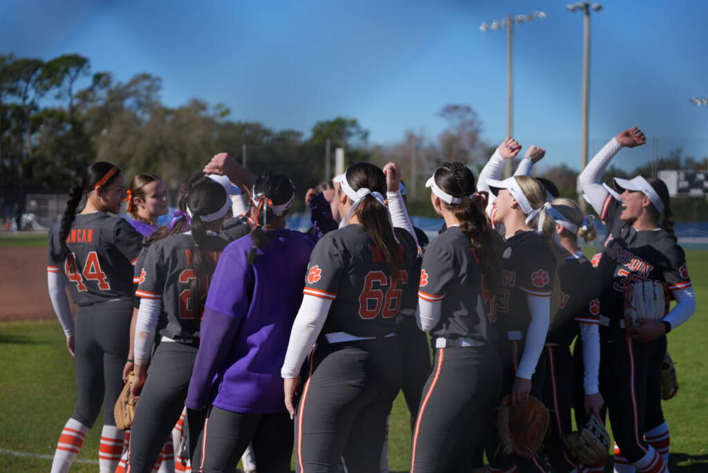 Tigers Drop Weekend Finale